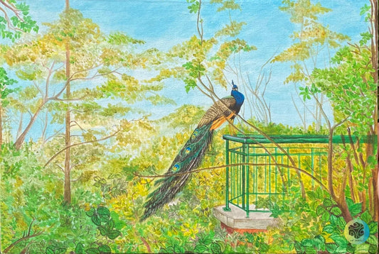 Bird Aviary