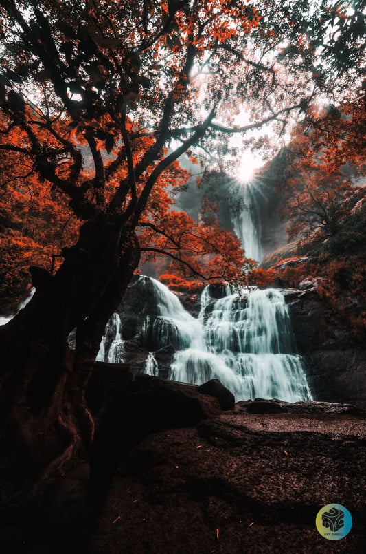 Magical Waterfall